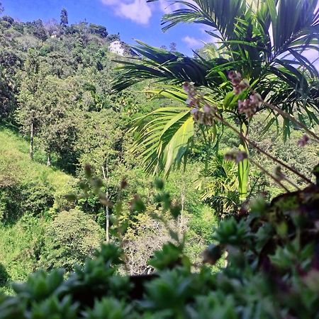 Creek Downhills Bed & Breakfast Ella Bagian luar foto