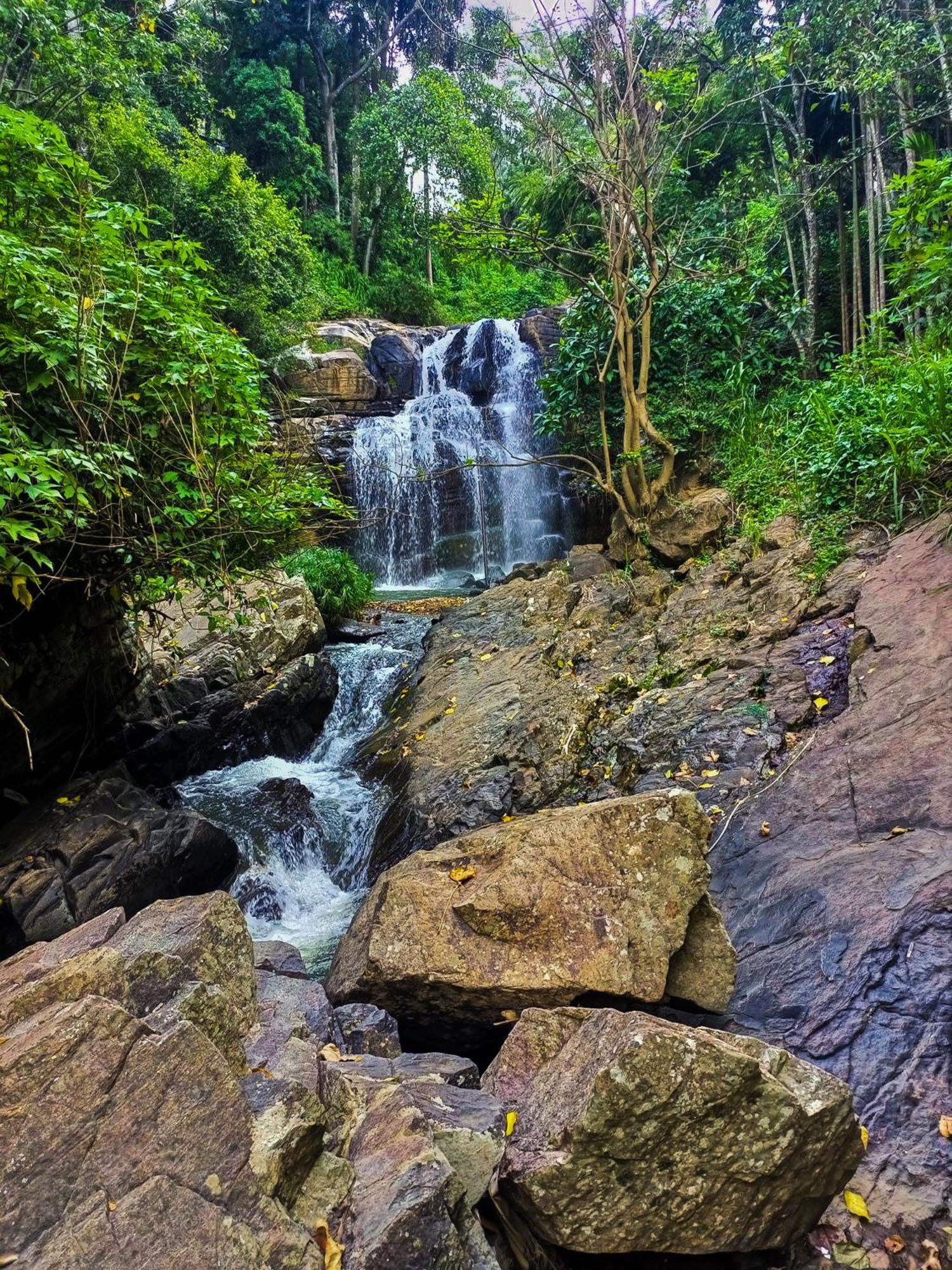 Creek Downhills Bed & Breakfast Ella Bagian luar foto
