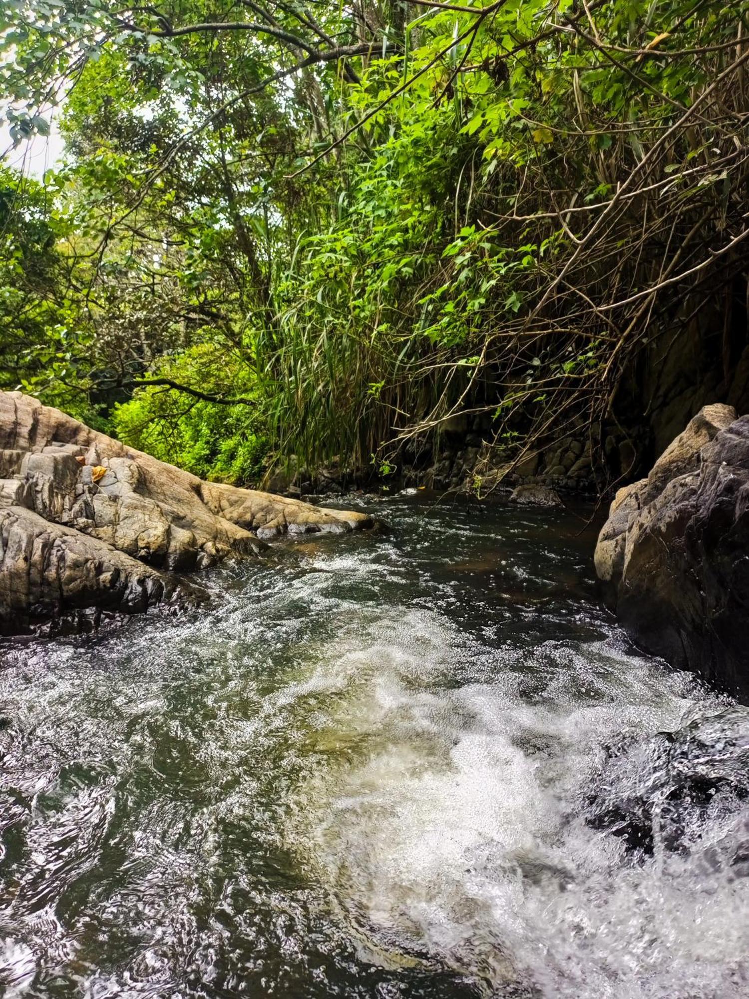 Creek Downhills Bed & Breakfast Ella Bagian luar foto
