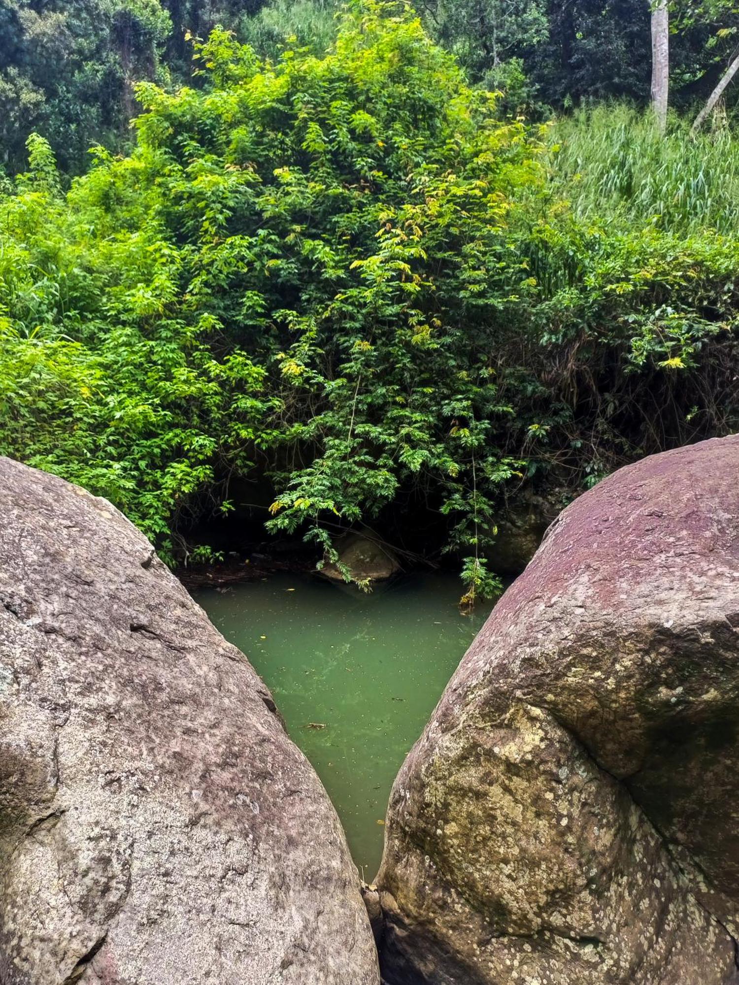 Creek Downhills Bed & Breakfast Ella Bagian luar foto