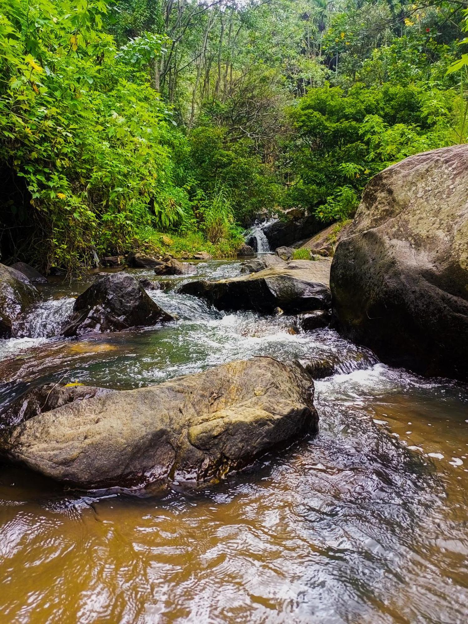 Creek Downhills Bed & Breakfast Ella Bagian luar foto