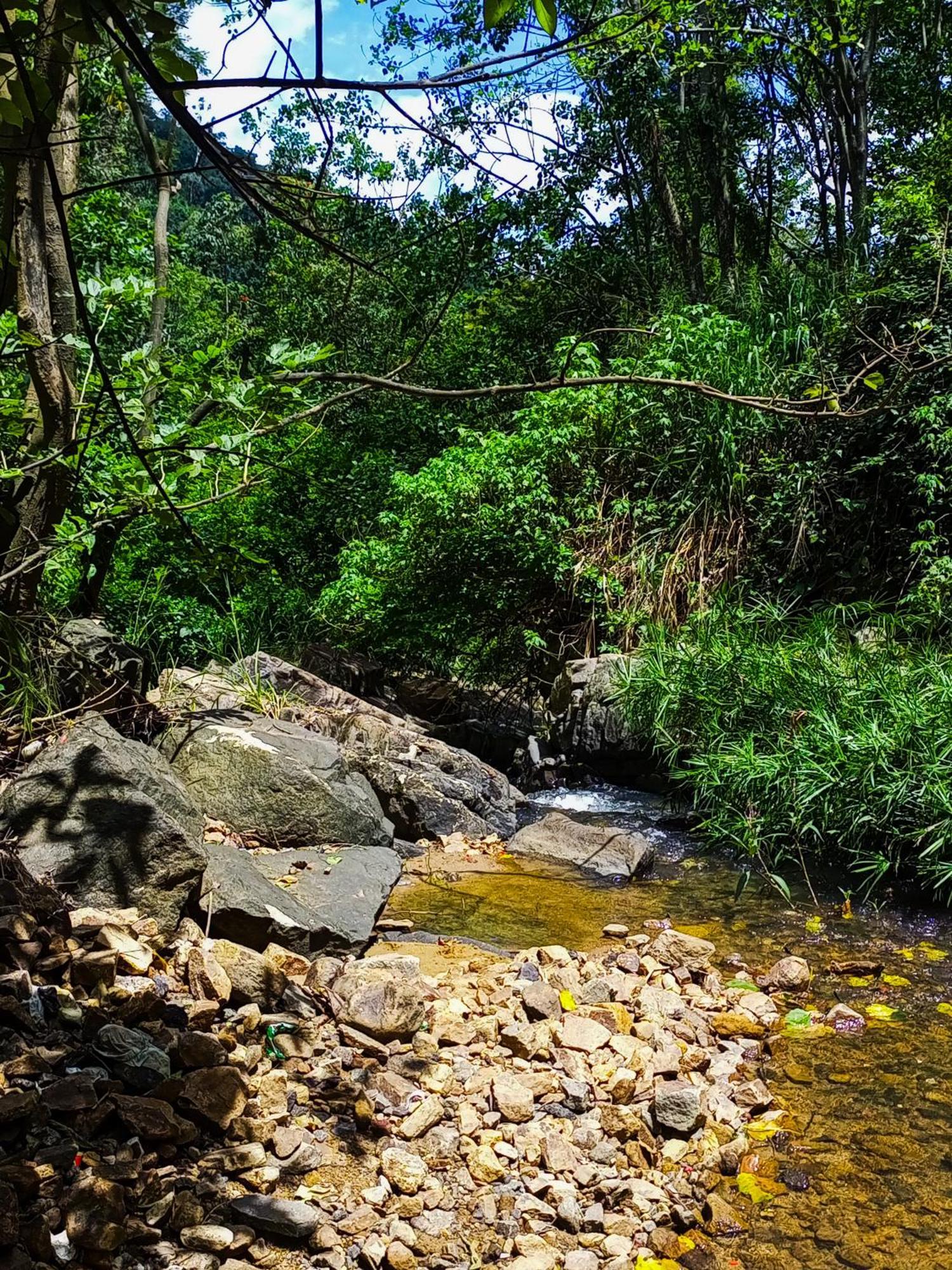 Creek Downhills Bed & Breakfast Ella Bagian luar foto
