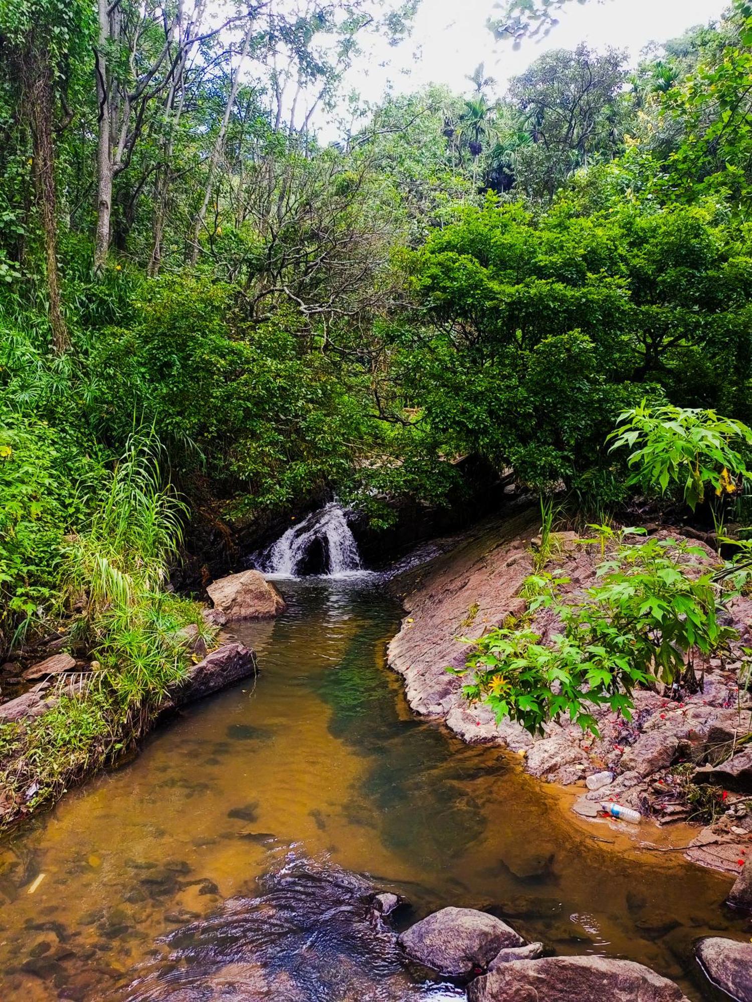 Creek Downhills Bed & Breakfast Ella Bagian luar foto