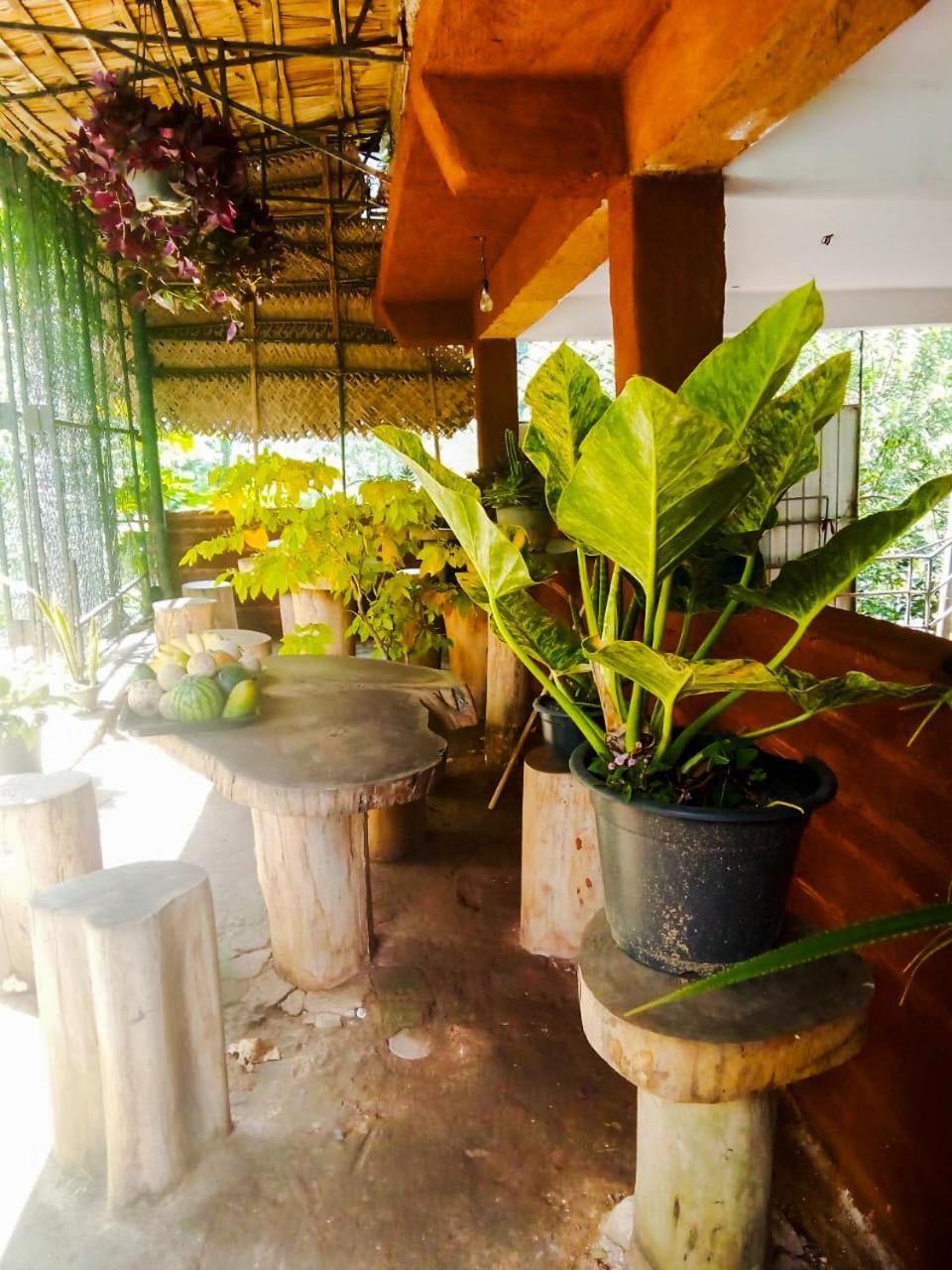 Creek Downhills Bed & Breakfast Ella Bagian luar foto
