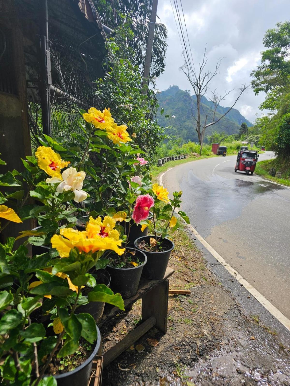 Creek Downhills Bed & Breakfast Ella Bagian luar foto