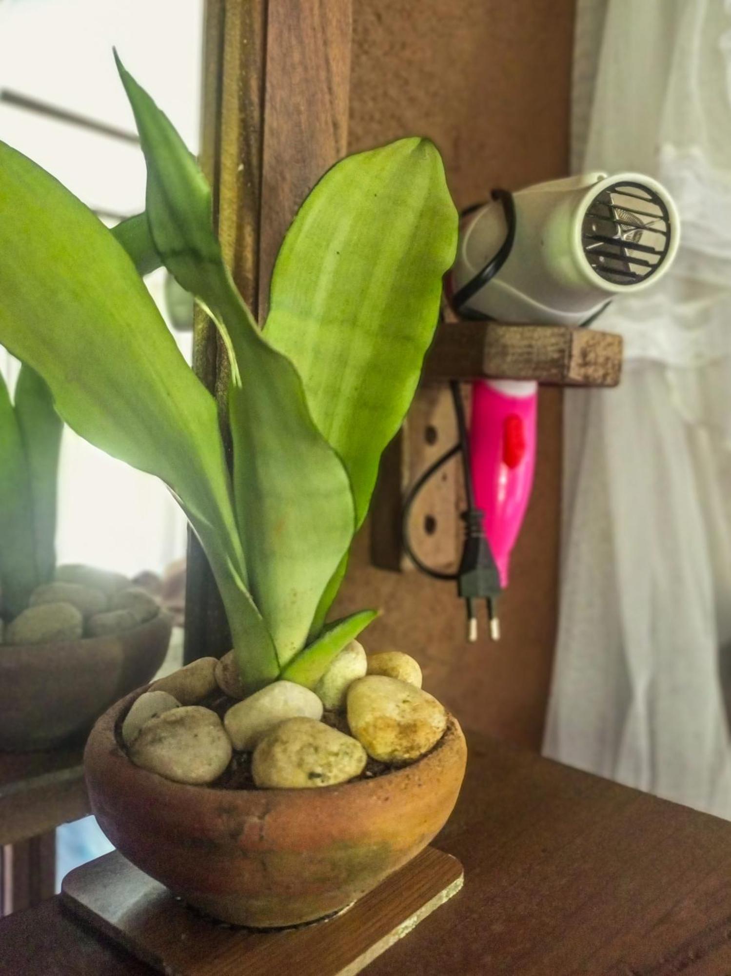 Creek Downhills Bed & Breakfast Ella Bagian luar foto