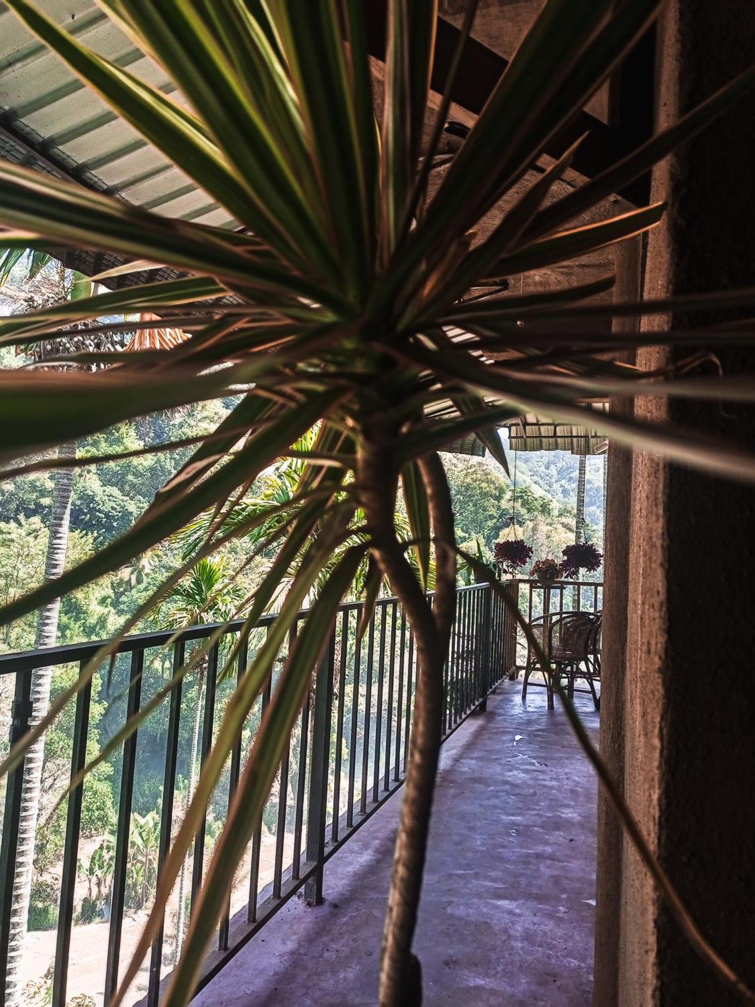 Creek Downhills Bed & Breakfast Ella Bagian luar foto