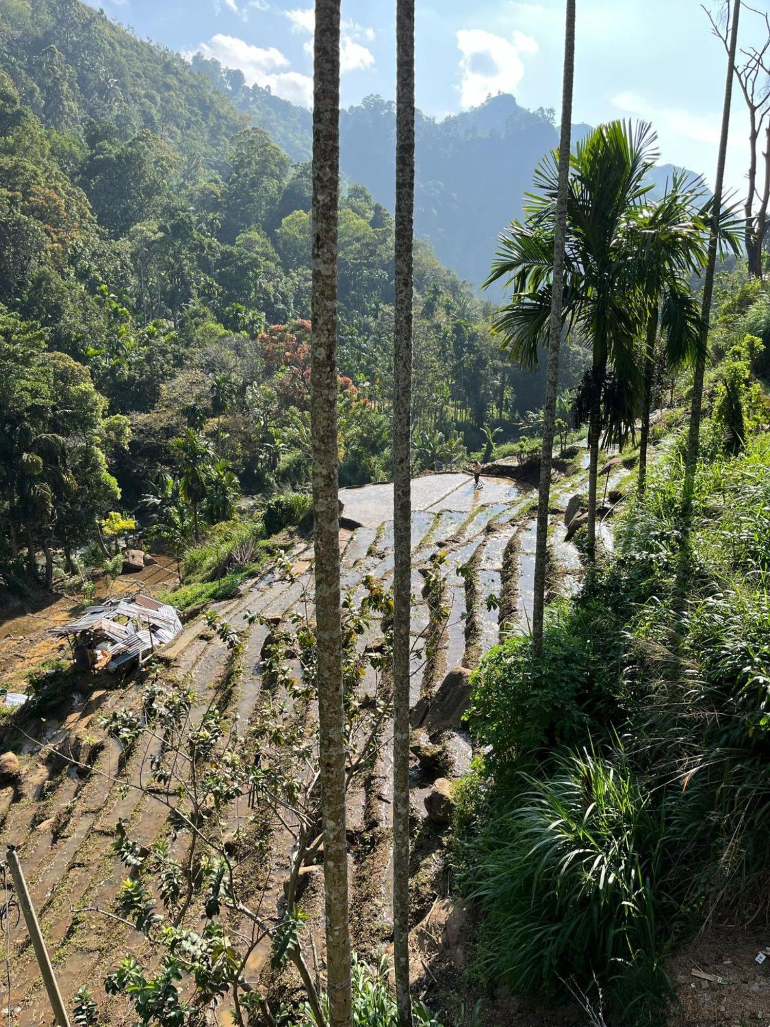 Creek Downhills Bed & Breakfast Ella Bagian luar foto