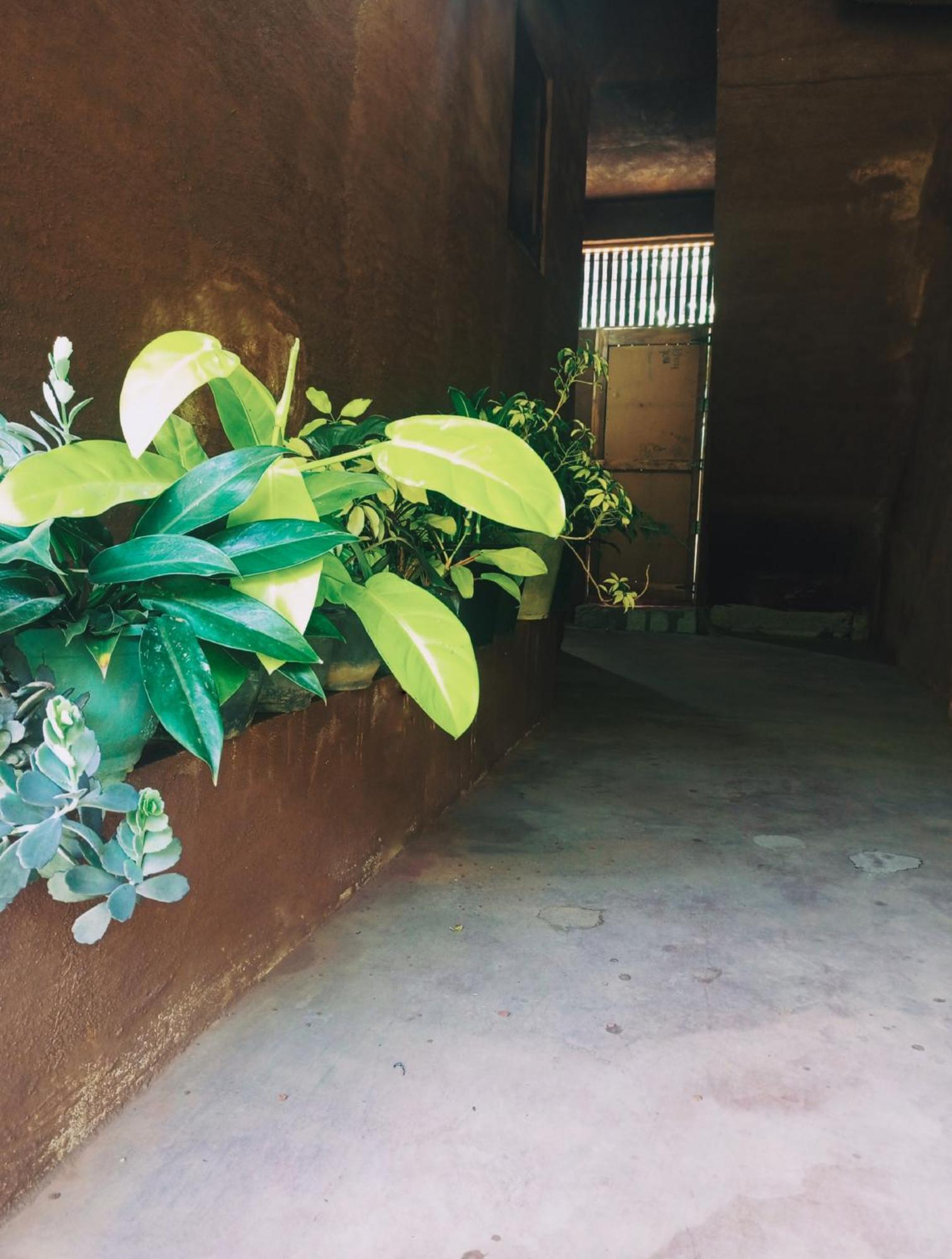 Creek Downhills Bed & Breakfast Ella Bagian luar foto