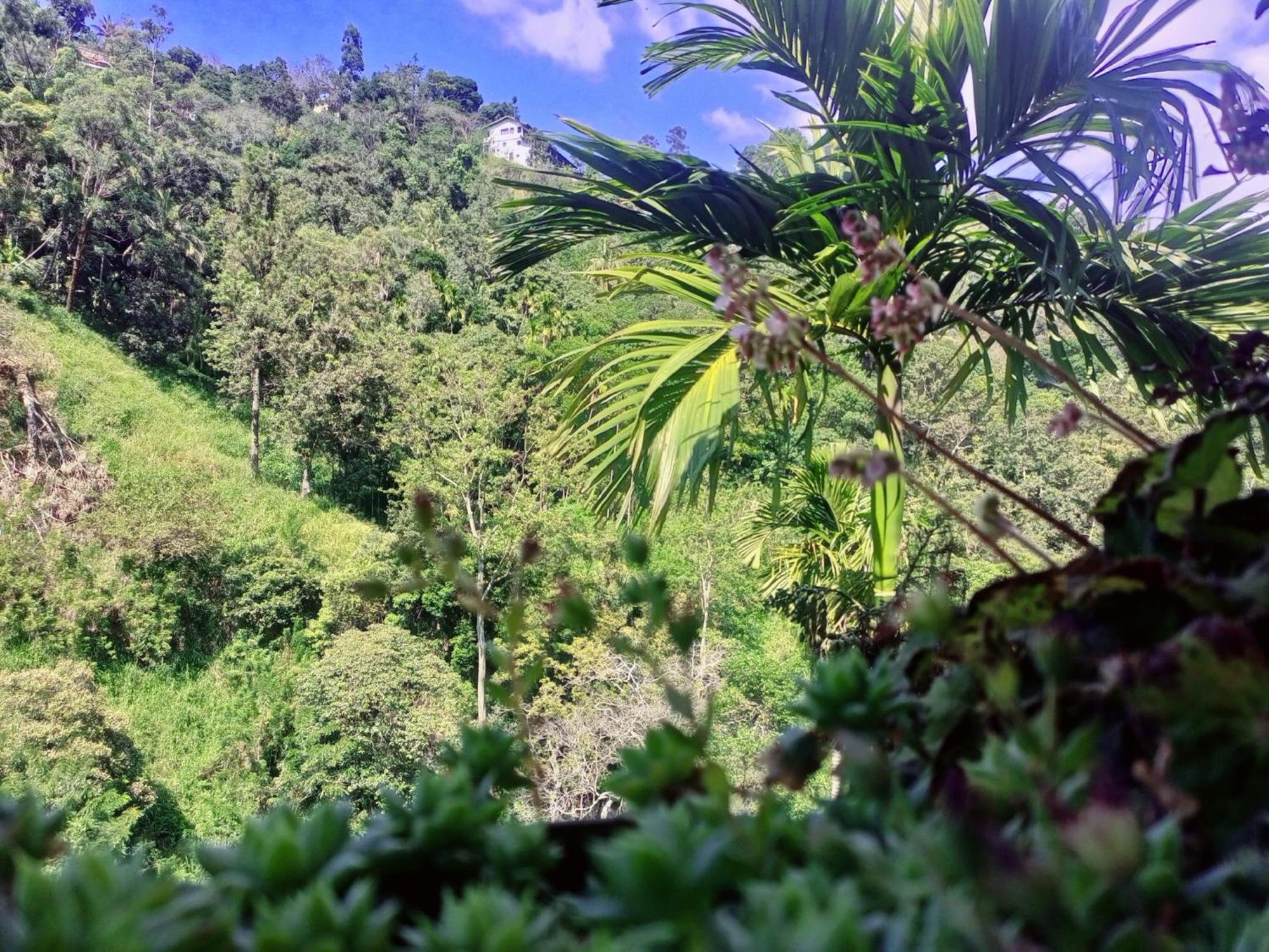 Creek Downhills Bed & Breakfast Ella Bagian luar foto